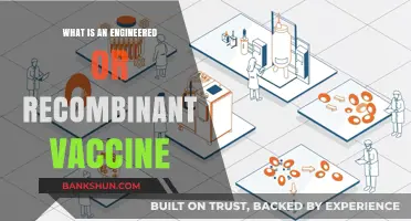 Understanding Engineered and Recombinant Vaccines: A Modern Immunization Approach
