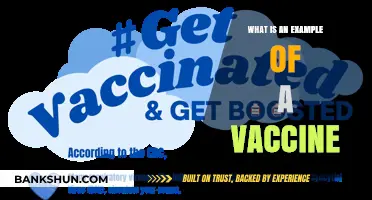 Understanding Vaccines: A Real-World Example of Immunization in Action