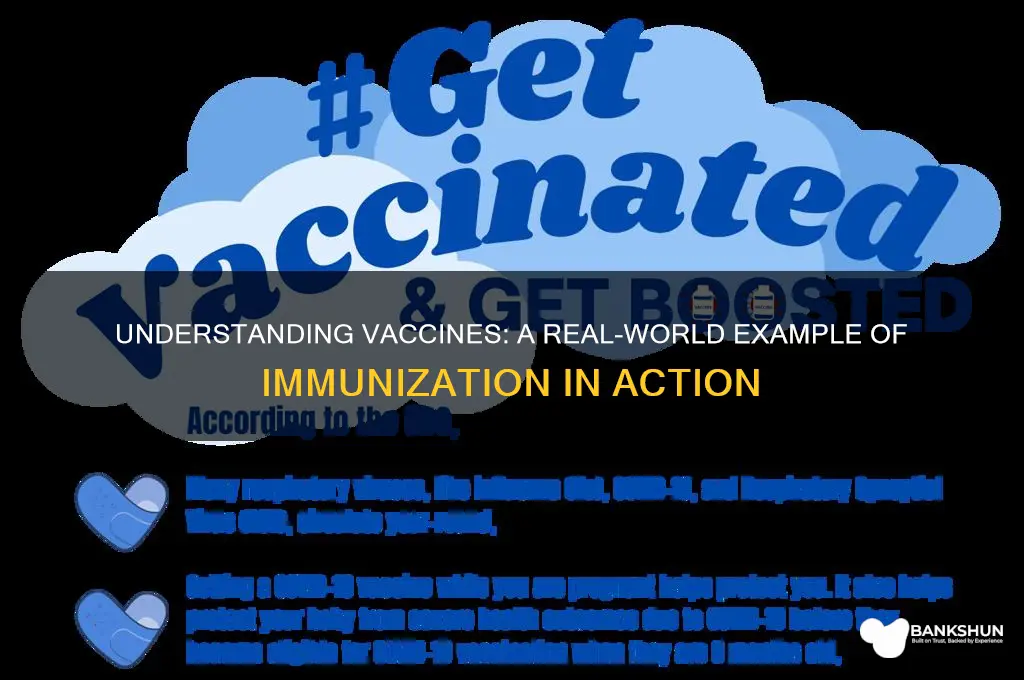 what is an example of a vaccine