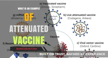 Understanding Attenuated Vaccines: A Key Example Explained Simply