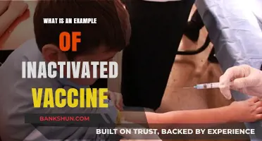 Understanding Inactivated Vaccines: A Key Example and Its Benefits