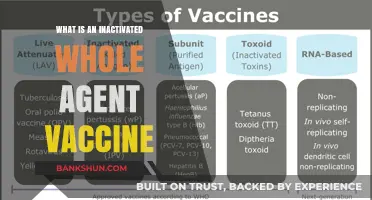 Understanding Inactivated Whole Agent Vaccines: A Comprehensive Guide