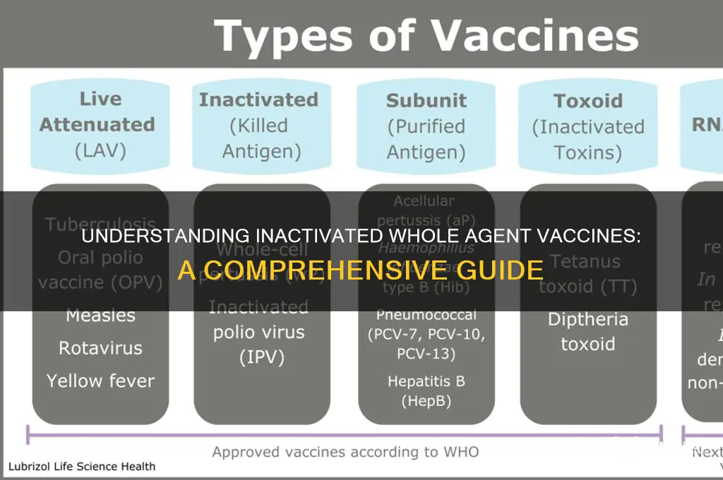 what is an inactivated whole agent vaccine