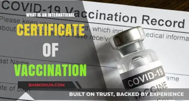Understanding the International Certificate of Vaccination: A Global Health Essential