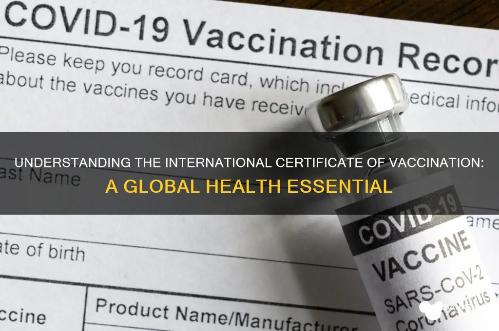 what is an international certificate of vaccination