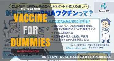 Understanding mRNA Vaccines: A Simple Guide for Beginners