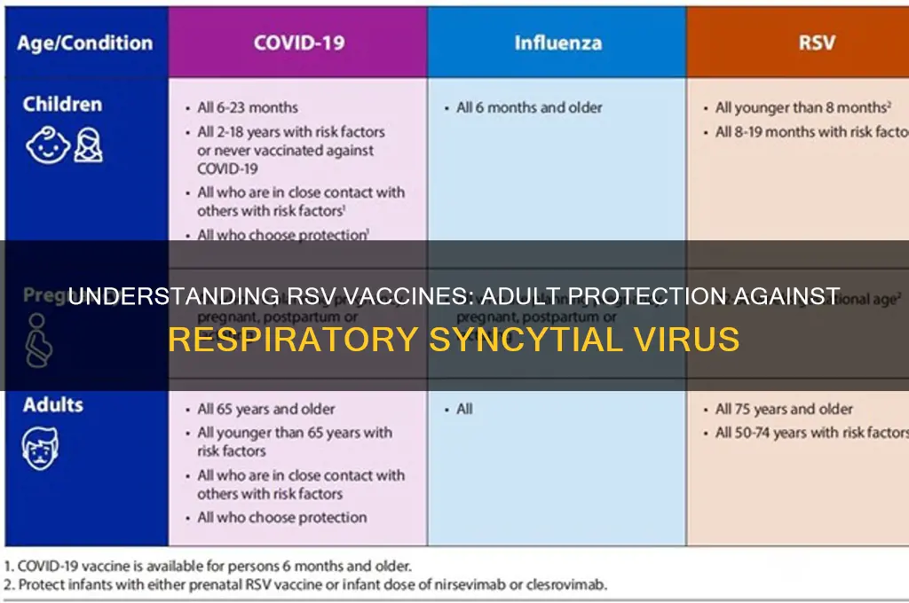 what is an rsv vaccine for adults