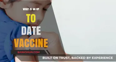 Staying Protected: Understanding What an Up-to-Date Vaccine Means