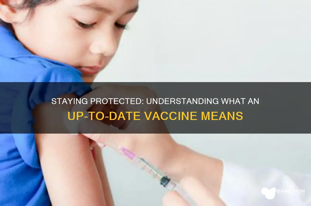 what is an up to date vaccine
