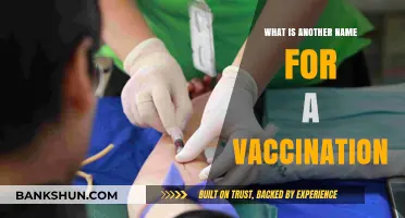 Exploring Alternative Terms: What Else Do We Call Vaccinations?