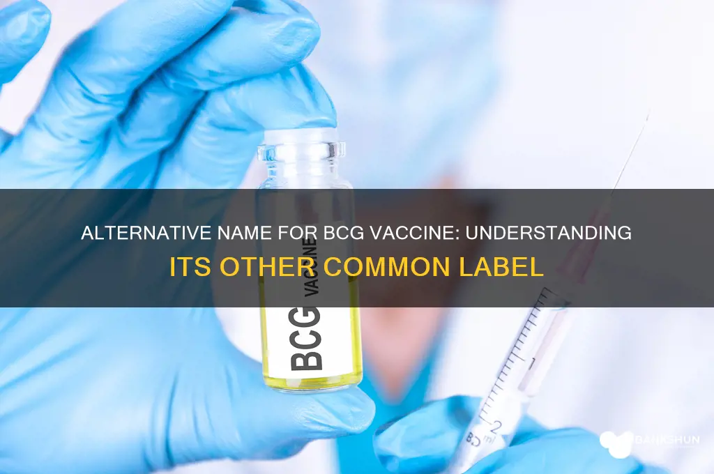what is another name for bcg vaccine