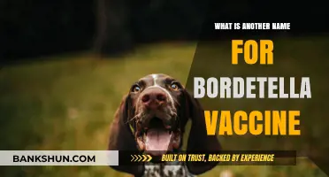 Understanding Bordetella Vaccine: Alternative Names and Common Uses Explained