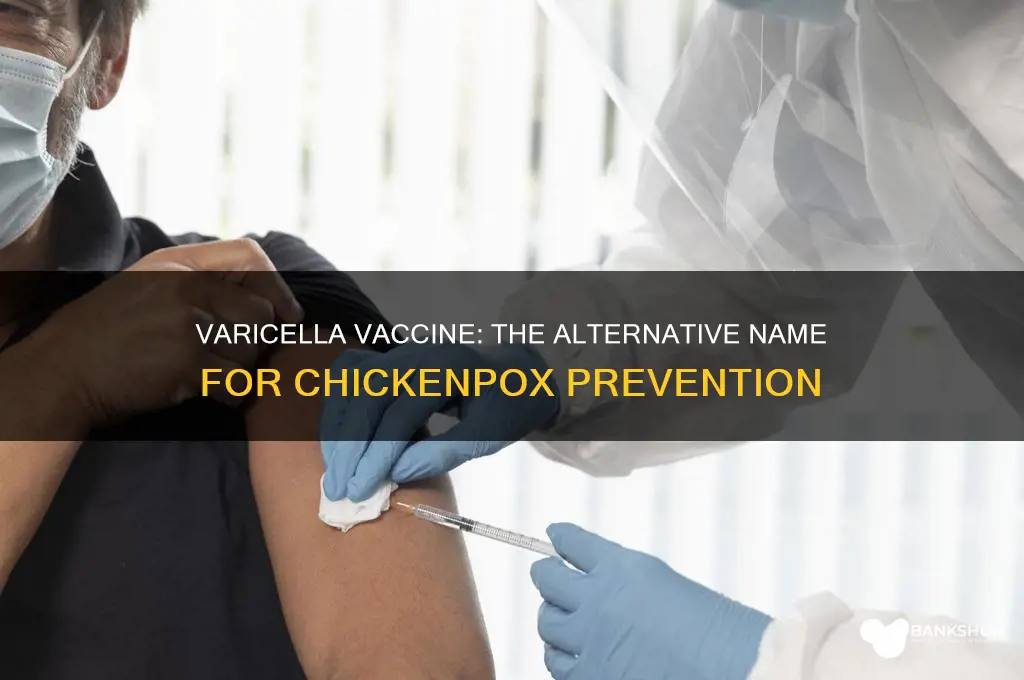 what is another name for chickenpox vaccine