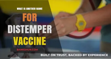 Alternative Name for Distemper Vaccine: Protecting Pets with the Right Shot