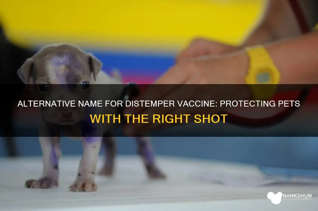 what is another name for distemper vaccine