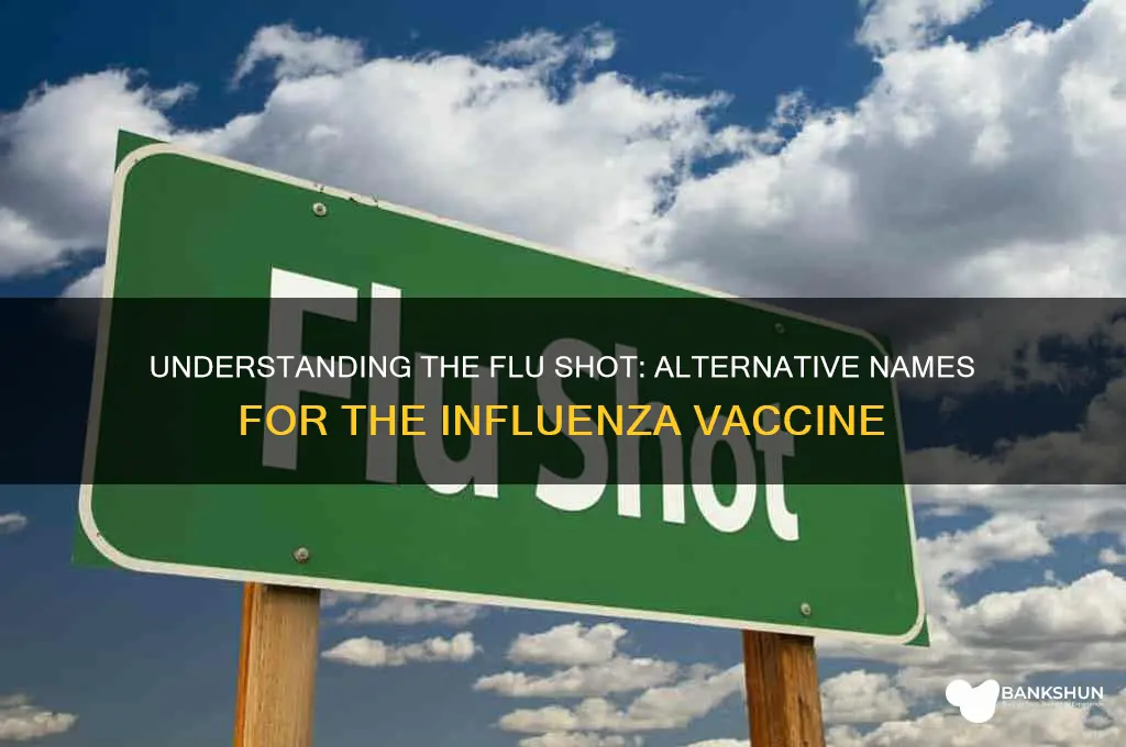what is another name for influenza vaccine