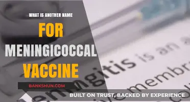 Alternative Names for the Meningococcal Vaccine: A Quick Guide