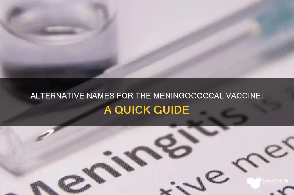 what is another name for meningicoccal vaccine