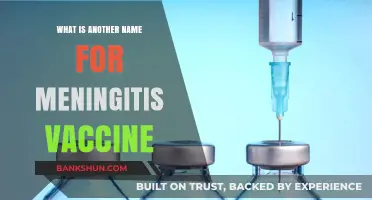 Alternative Names for the Meningitis Vaccine: A Comprehensive Guide