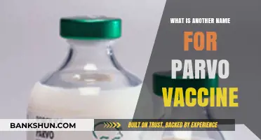Understanding Canine Parvovirus: Alternative Names for the Parvo Vaccine