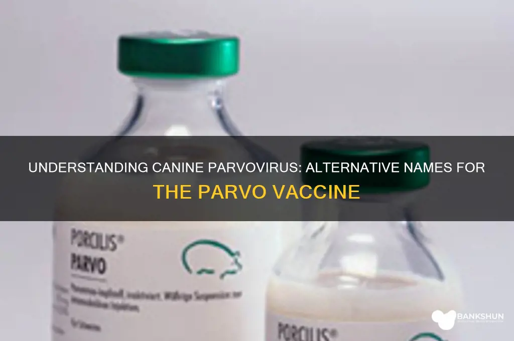 what is another name for parvo vaccine