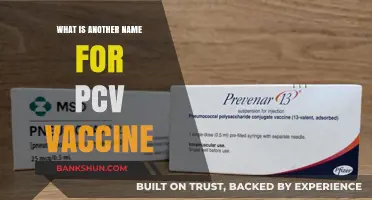 Understanding the PCV Vaccine: Alternative Names and Common Uses