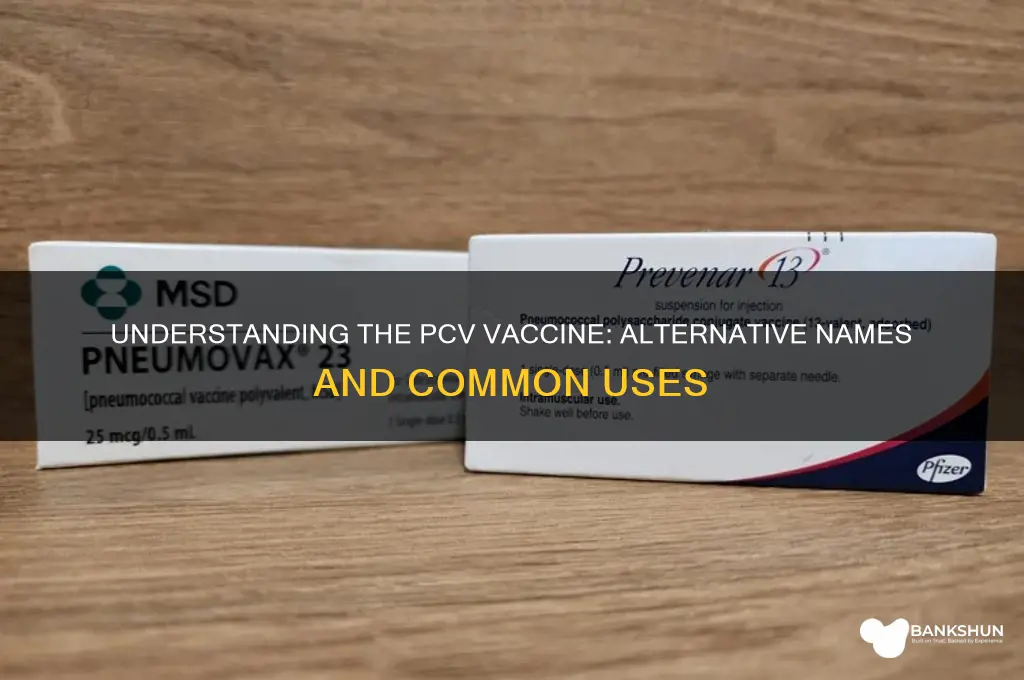 what is another name for pcv vaccine