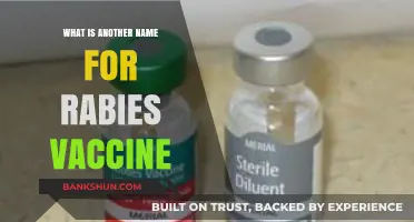 Alternative Names for the Rabies Vaccine: A Comprehensive Guide