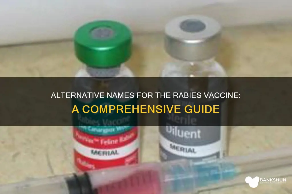 what is another name for rabies vaccine