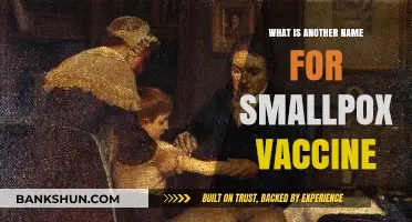 Exploring the Alternative Name for the Smallpox Vaccine: A Historical Insight