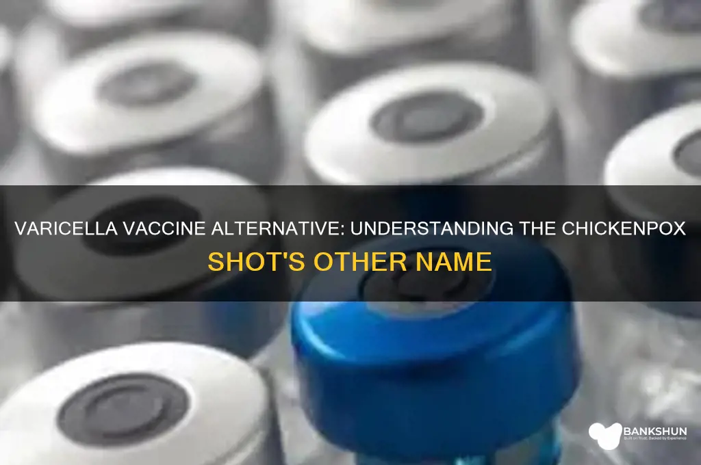 what is another name for varicella vaccine