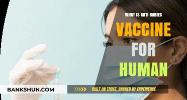 Understanding the Anti-Rabies Vaccine: Essential Protection for Humans