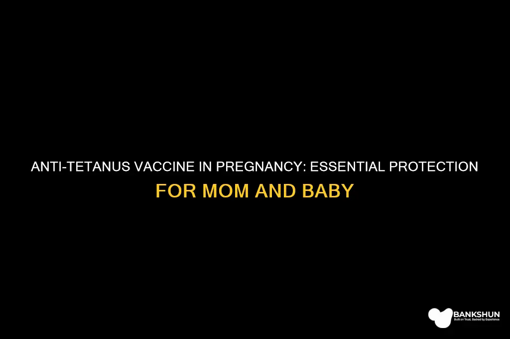 what is anti tetanus vaccine for pregnant