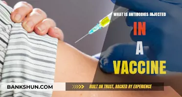 Understanding Antibodies: How Injected Vaccines Boost Immune Defense