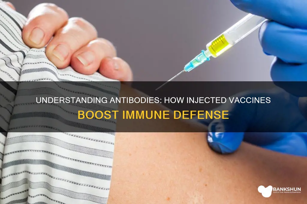 what is antibodies injected in a vaccine
