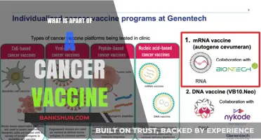 Understanding Cancer Vaccines: Key Components and Their Role in Treatment