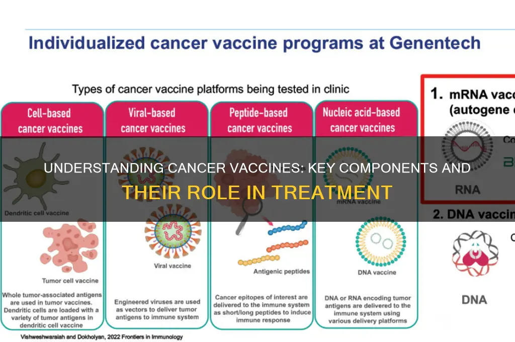 what is apart of a cancer vaccine