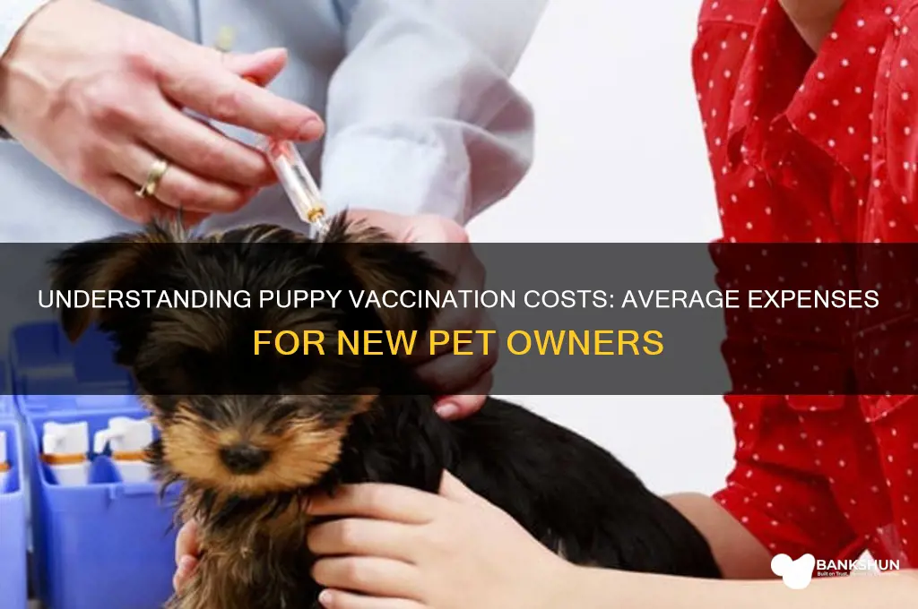 what is average cost for puppy vaccinations