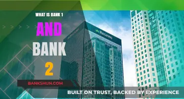 Understanding the Duality: Bank 1 and Bank 2