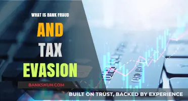 Bank Fraud and Tax Evasion: Criminal Finances Exposed