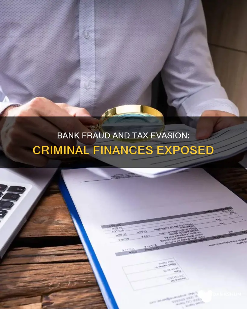what is bank fraud and tax evasion
