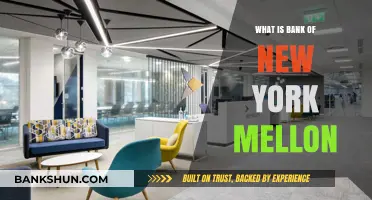 The Bank of New York Mellon: A Comprehensive Overview