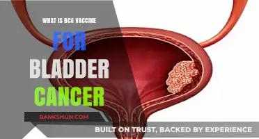 BCG Vaccine's Role in Bladder Cancer Treatment and Prevention Explained