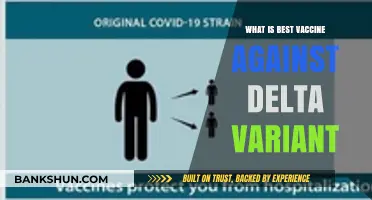 Effective Vaccines Against Delta: Which One Offers Optimal Protection?