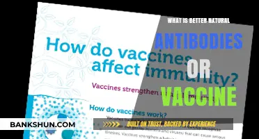 Natural Immunity vs. Vaccines: Which Offers Superior Protection?