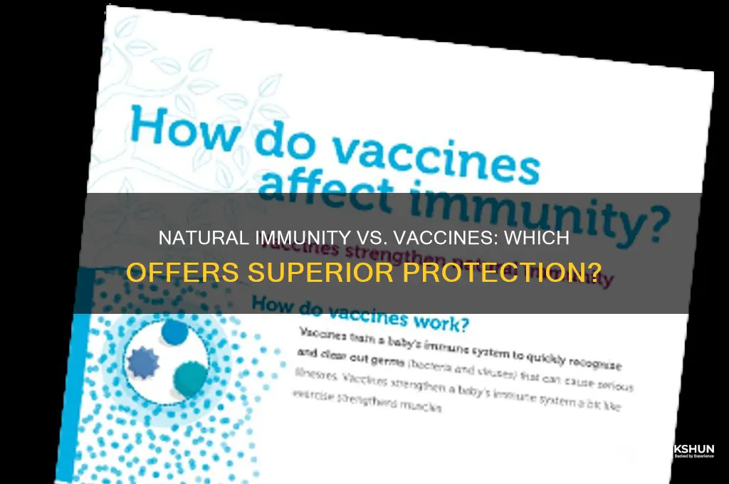 what is better natural antibodies or vaccine