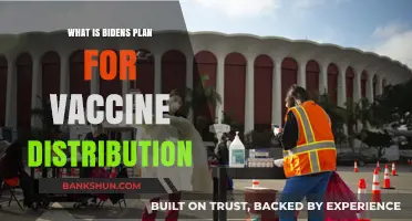 Biden's Vaccine Distribution Strategy: Ensuring Equitable Access Nationwide