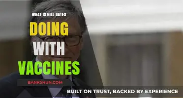 Bill Gates' Vaccine Initiatives: Global Health Impact and Controversies Explained