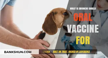 Understanding Bronchi Shield Oral Vaccine: Uses, Benefits, and Importance