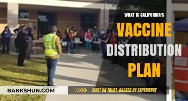 California's COVID-19 Vaccine Rollout: Phases, Priorities, and Distribution Plan